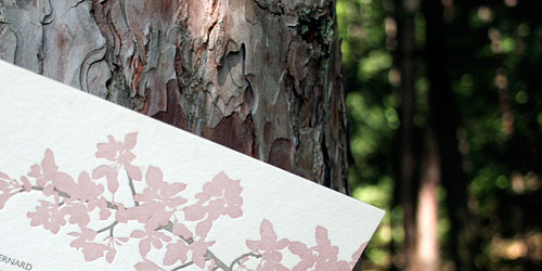 Eco letterpress - buttermilk falls