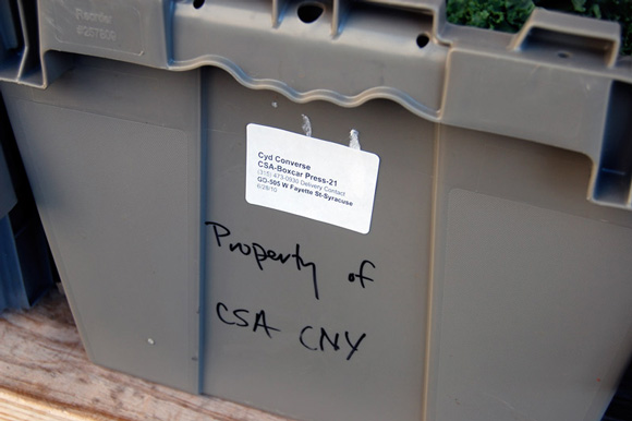 csa-cny